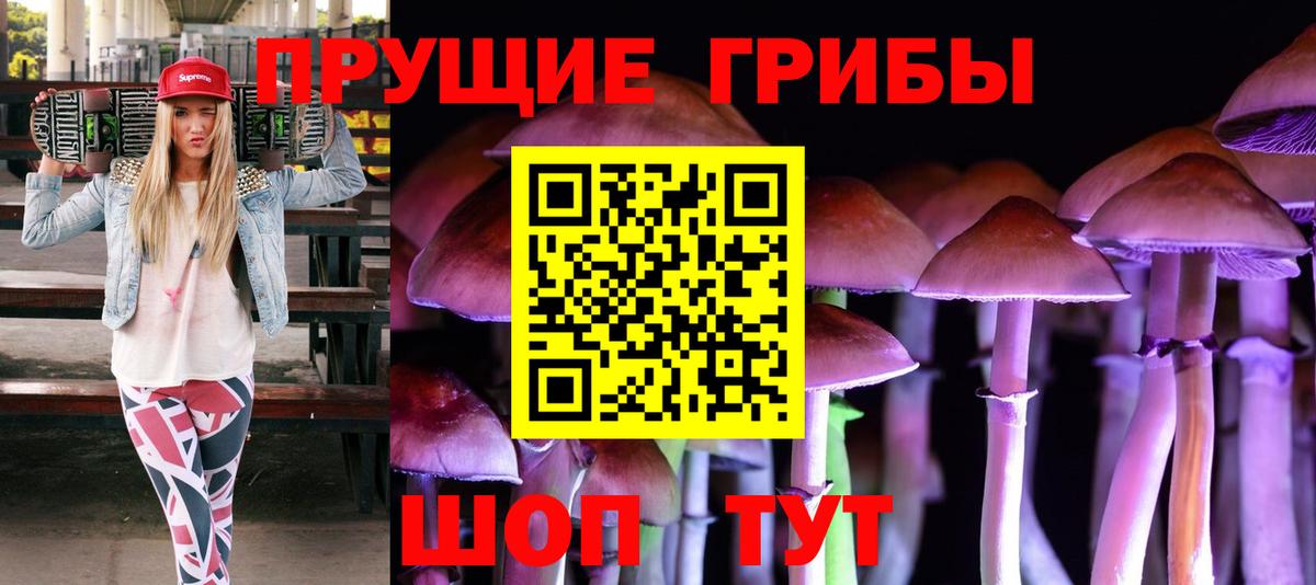 Астрахань  где продают   Псилоцибиновые грибы мухоморы  Вход с VPN  Псилоцибиновые грибы мицелий 