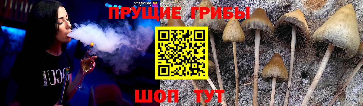 Галлюциногенные грибы MAGIC MUSHROOMS Астрахань